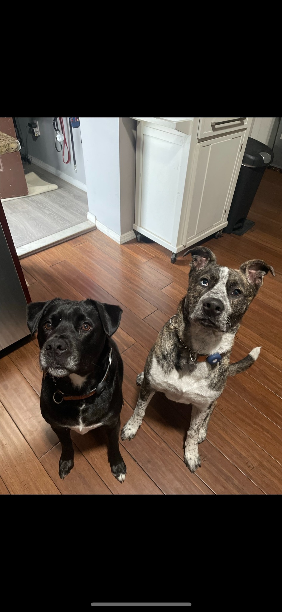 Marley & Opie